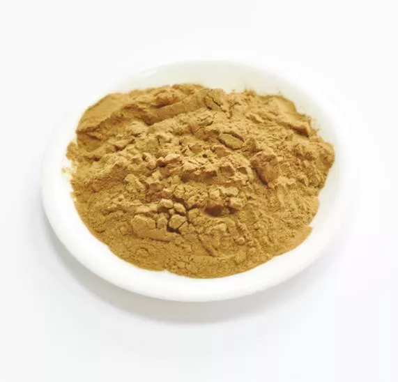 Сухой экстракт пустырника - танины 7% (трава) (лат. Leonurus heterophyllus Sweet)